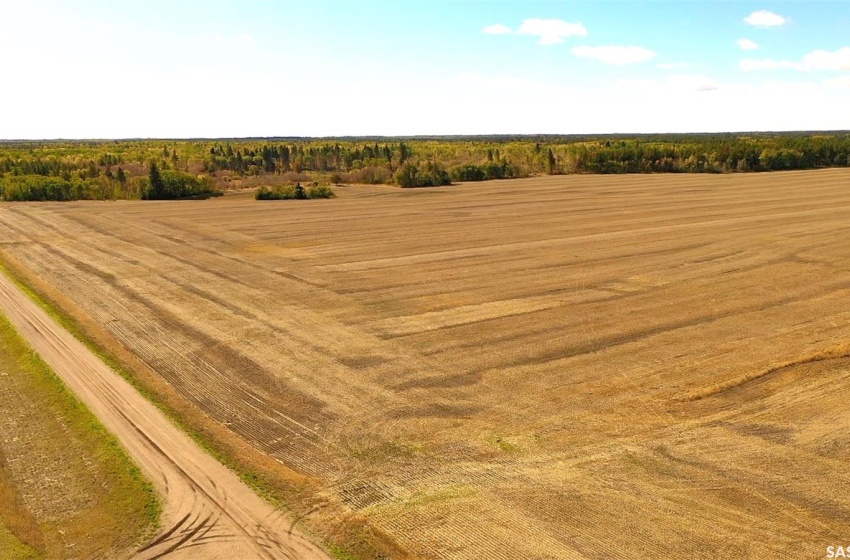 Rural Address, Kinistino Rm No. 459, Saskatchewan S0J 1H0, ,Farm,For Sale,79 Acres Kinistino RM,Rural Address,SK960012