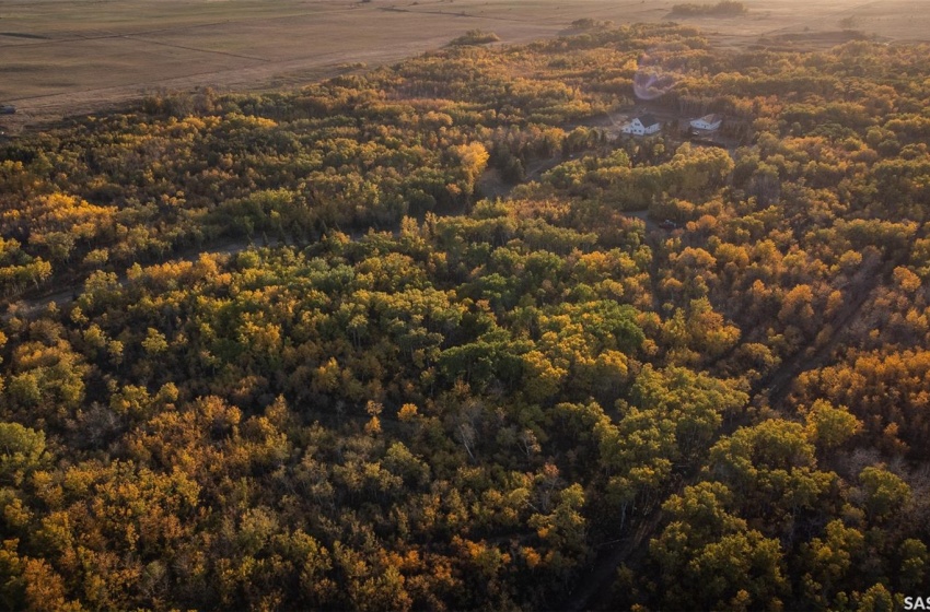 Rural Address, Corman Park Rm No. 344, Saskatchewan S0K 0Y0, 4 Bedrooms Bedrooms, 11 Rooms Rooms,2 BathroomsBathrooms,Acreage,For Sale,B&W Ranch,Rural Address,SK959995