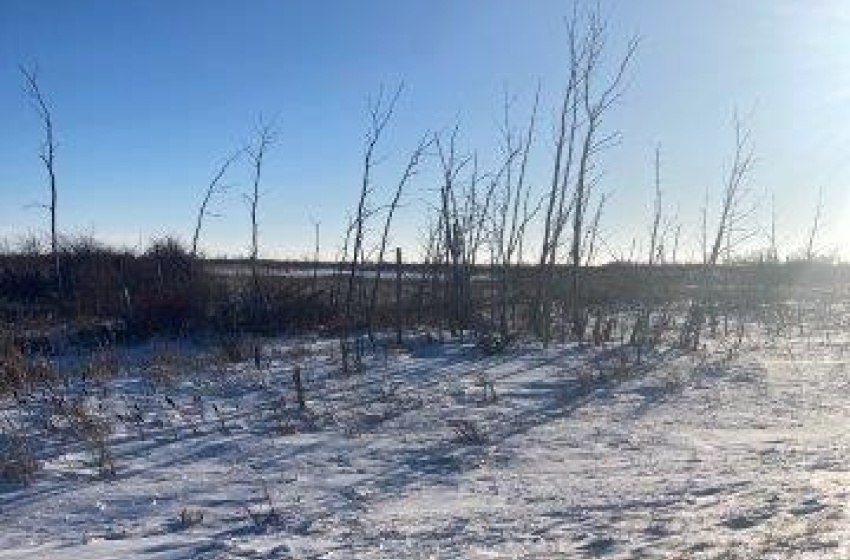 Rural Rural Address, Tullymet Rm No. 216, Saskatchewan S0A 1N0, ,Farm,For Sale,Kunitz Farm,Rural Address,SK960325