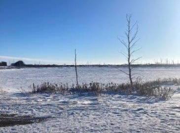 Rural Rural Address, Tullymet Rm No. 216, Saskatchewan S0A 1N0, ,Farm,For Sale,Kunitz Farm,Rural Address,SK960325