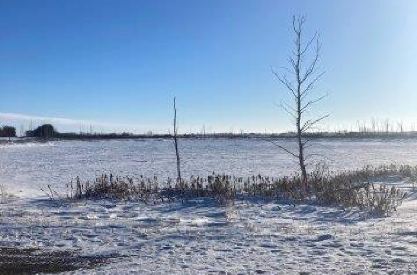 Rural Rural Address, Tullymet Rm No. 216, Saskatchewan S0A 1N0, ,Farm,For Sale,Kunitz Farm,Rural Address,SK960325