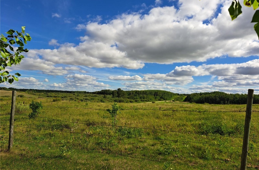 Rural Address, Tisdale Rm No. 427, Saskatchewan S0E 1T0, 3 Bedrooms Bedrooms, 10 Rooms Rooms,2 BathroomsBathrooms,Acreage,For Sale,Perrin/Parsons Acreage,Rural Address,SK960296