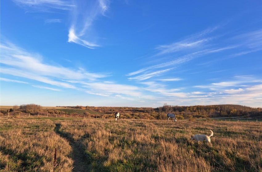 Rural Address, Tisdale Rm No. 427, Saskatchewan S0E 1T0, 3 Bedrooms Bedrooms, 10 Rooms Rooms,2 BathroomsBathrooms,Acreage,For Sale,Perrin/Parsons Acreage,Rural Address,SK960296