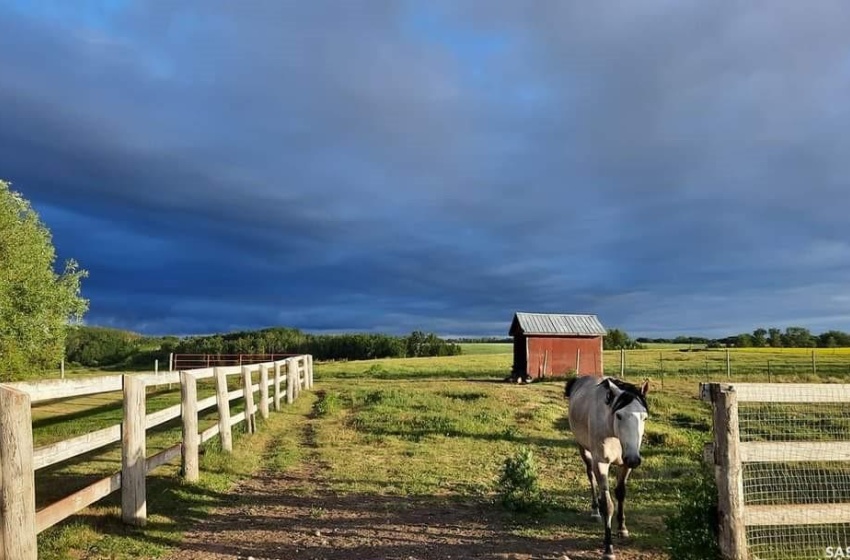 Rural Address, Tisdale Rm No. 427, Saskatchewan S0E 1T0, 3 Bedrooms Bedrooms, 10 Rooms Rooms,2 BathroomsBathrooms,Acreage,For Sale,Perrin/Parsons Acreage,Rural Address,SK960296