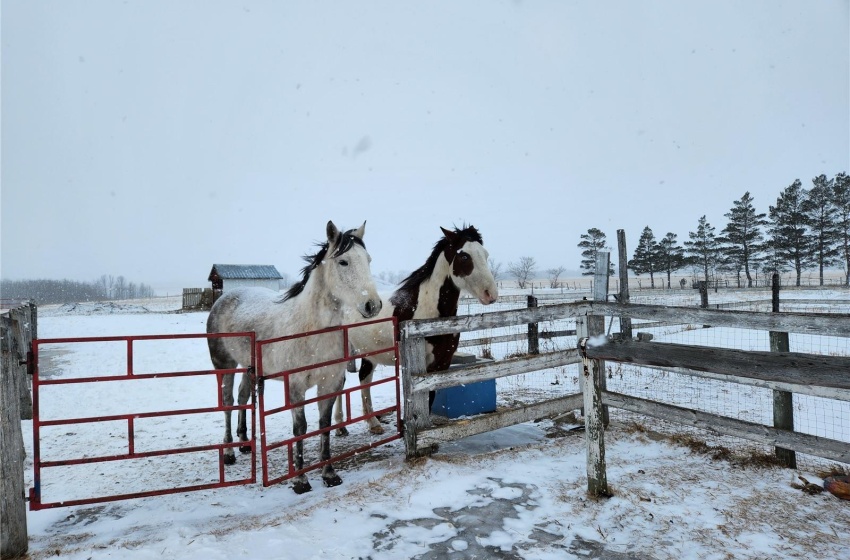 Rural Address, Tisdale Rm No. 427, Saskatchewan S0E 1T0, 3 Bedrooms Bedrooms, 10 Rooms Rooms,2 BathroomsBathrooms,Acreage,For Sale,Perrin/Parsons Acreage,Rural Address,SK960296