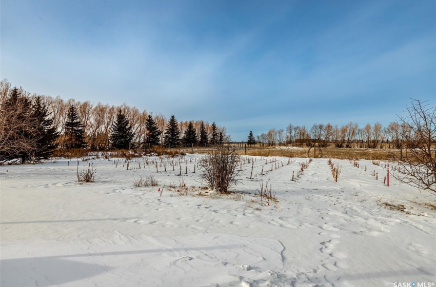 Rural Address, Star City Rm No. 428, Saskatchewan S0E 1A9, 4 Bedrooms Bedrooms, 13 Rooms Rooms,3 BathroomsBathrooms,Acreage,For Sale,Wall Acreage,Rural Address,SK960353