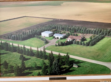 Rural Address, Wallace Rm No. 243, Saskatchewan S3N 4C6, 6 Bedrooms Bedrooms, 18 Rooms Rooms,3 BathroomsBathrooms,Acreage,For Sale,Reimer Acreage,Rural Address,SK960298