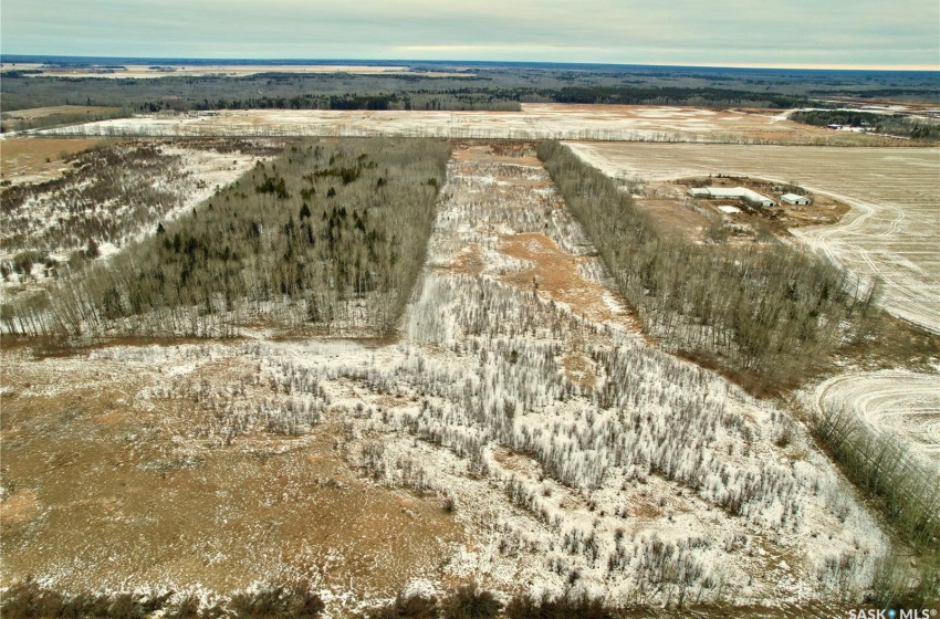 Rural Address, Torch River Rm No. 488, Saskatchewan S0J 3B0, ,Farm,For Sale,Torch River Land,Rural Address,SK961520