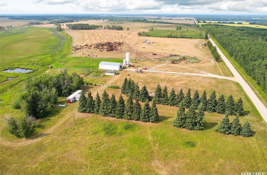 Rural Address, Torch River Rm No. 488, Saskatchewan S0J 3B0, ,Farm,For Sale,RM 488 Torch River Land,Rural Address,SK960446