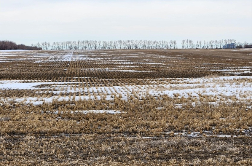 Rural Address, Sherwood Rm No. 159, Saskatchewan S4X 0B5, ,Farm,For Sale,Regina 135.9 acres Grain Farmland,Rural Address,SK962022