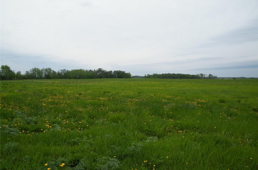 Rural Address, Ponass Lake Rm No. 367, Saskatchewan S0A 3E0, ,Farm,For Sale,Gray Farm,Rural Address,SK962301