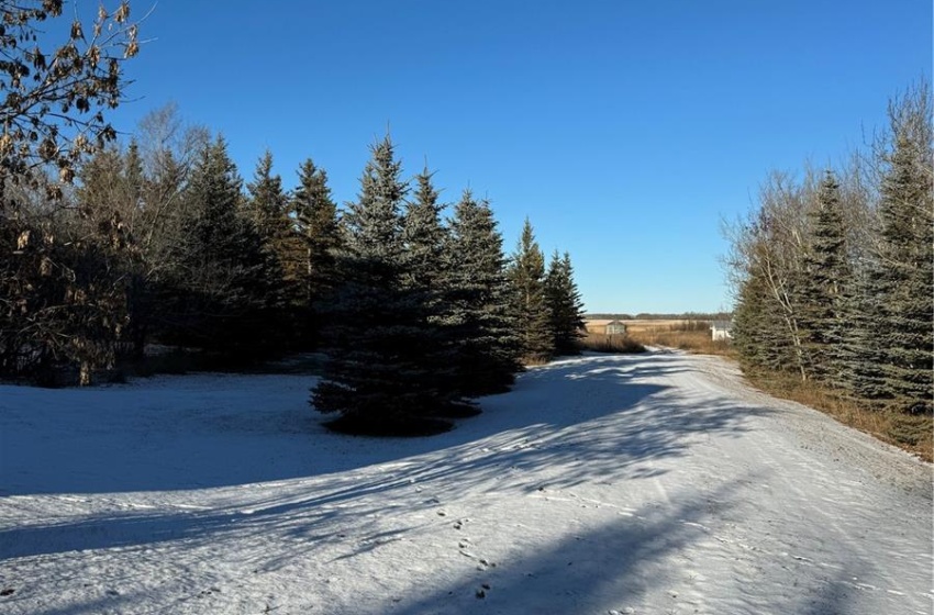 Rural Address, Three Lakes Rm No. 400, Saskatchewan S0K 2X0, 4 Bedrooms Bedrooms, ,2 BathroomsBathrooms,Farm,For Sale,Brockman Home Quarter,Rural Address,SK962407