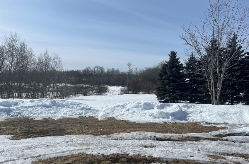 View of snowy yard