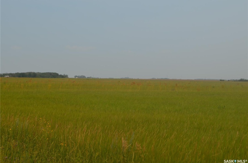 Hay Land Summer Picture