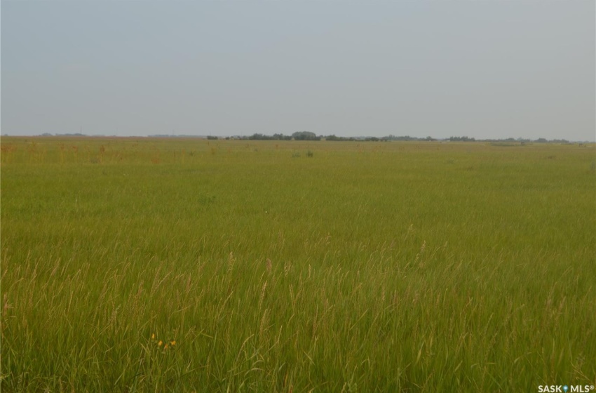 Hay Land Summer Picture