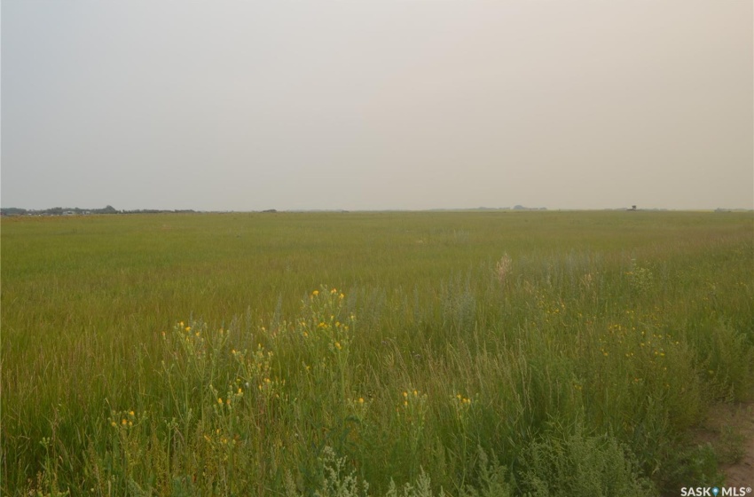 Hay Land Summer Picture