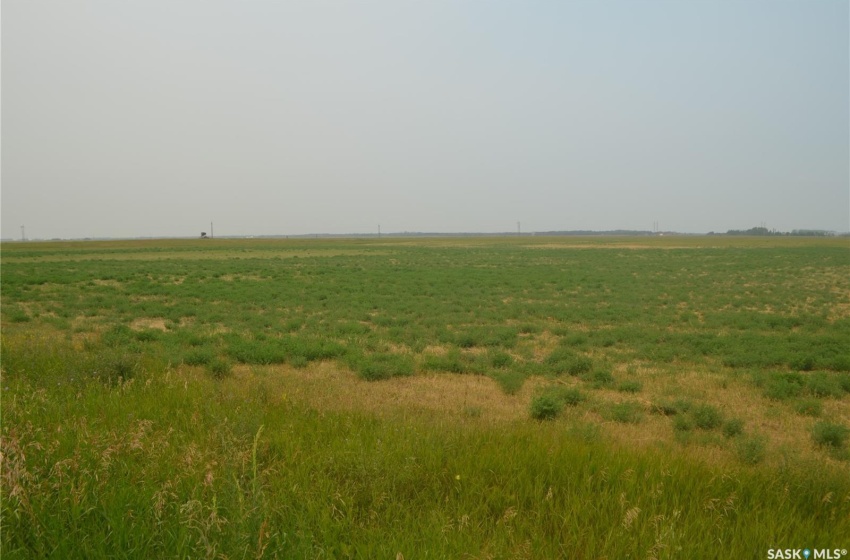 Hay Land Summer Picture