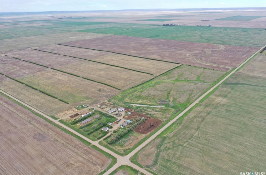 Rural Address, Wiseton, Saskatchewan S0L 3M0, 5 Bedrooms Bedrooms, ,3 BathroomsBathrooms,Farm,For Sale,Wiseton Mixed Farm- 1,193 Acres,Rural Address,SK962970