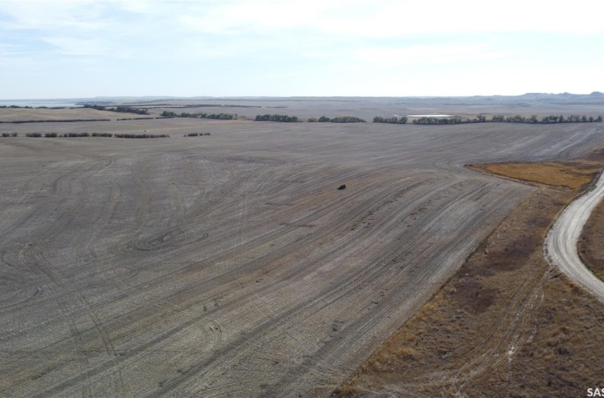 Rural Address, Poplar Valley Rm No. 12, Saskatchewan S0H 0A4, ,Farm,For Sale,1,330 Acres Near Rockglen,Rural Address,SK963148