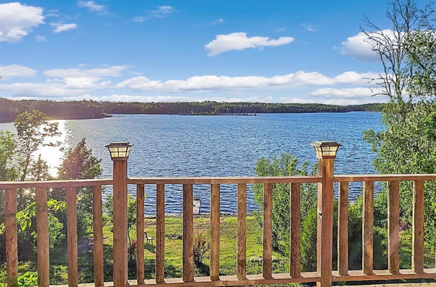 Top Deck View - Fish in Lake