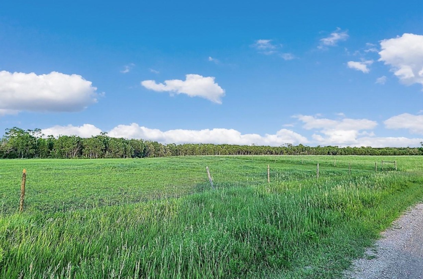 Hay Crop