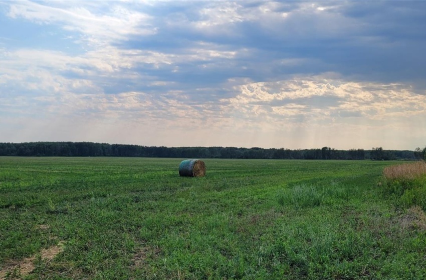 View of nature with a rural view