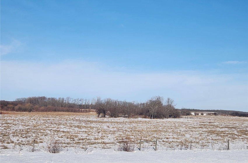 Snowy yard with a rural view