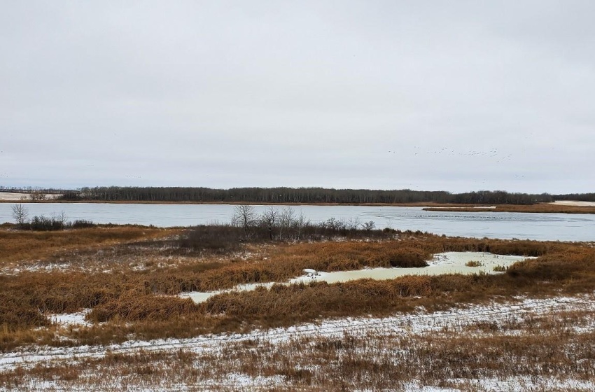 Rural Address, Churchbridge Rm No. 211, Saskatchewan S0A 0M0, ,Farm,For Sale,Churchbridge 161 acres Pastureland,Rural Address,SK963373