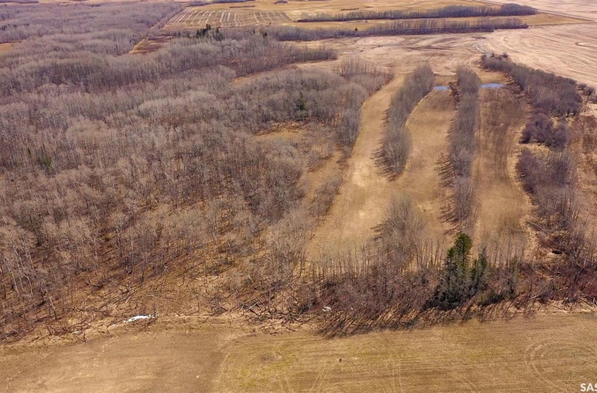 Rural Address, Nipawin Rm No. 487, Saskatchewan S0E 0P0, ,Farm,For Sale,RM Nipawin/Willow Creek 316 Acres,Rural Address,SK963470