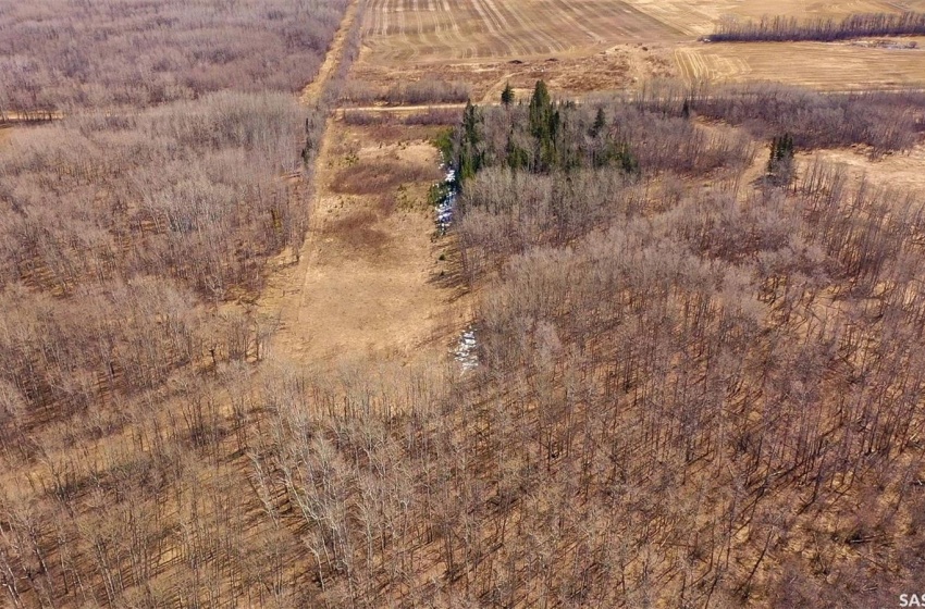 Rural Address, Nipawin Rm No. 487, Saskatchewan S0E 0P0, ,Farm,For Sale,RM Nipawin/Willow Creek 316 Acres,Rural Address,SK963470