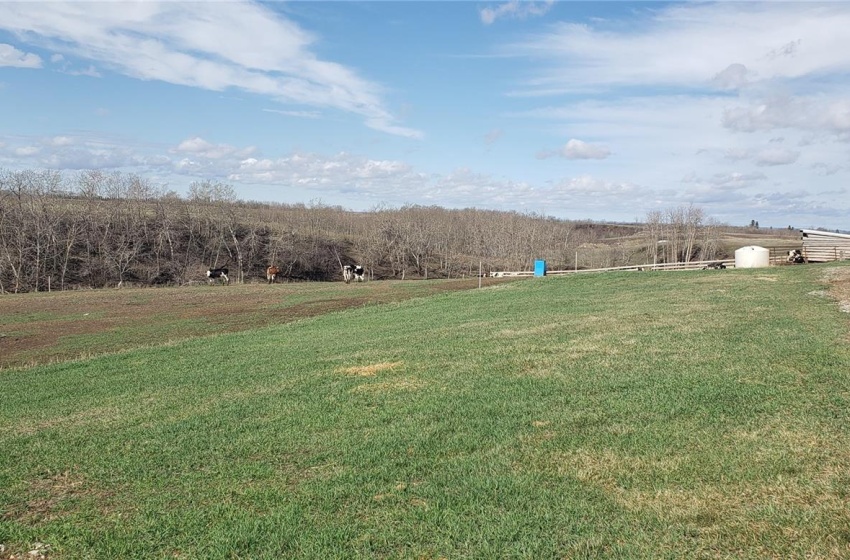 View of yard featuring a rural view