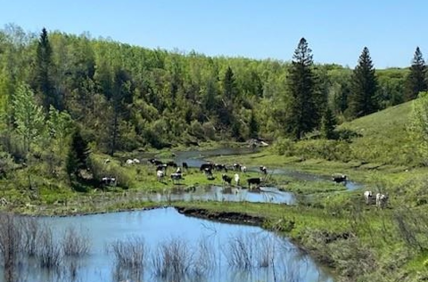 Rural Address, Rosthern Rm No. 403, Saskatchewan S0K 2H0, 4 Bedrooms Bedrooms, ,2 BathroomsBathrooms,Farm,For Sale,Zomer Dairy,Rural Address,SK963486