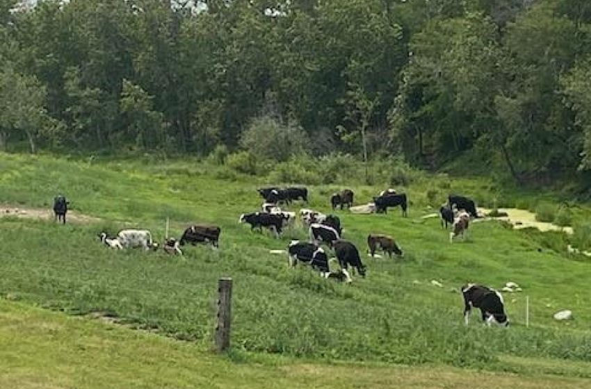 View of property's community featuring a rural view