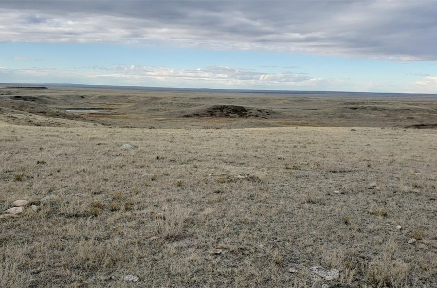 View of local wilderness with a rural view