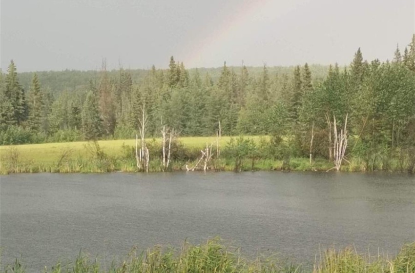 View of water feature