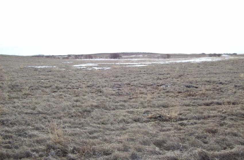 Rural Address, Emerald Rm No. 277, Saskatchewan S0A 4R0, ,Farm,For Sale,R.M. of Emerald/Hay/Pasture/Rec. 155.28 Acres,Rural Address,SK964954