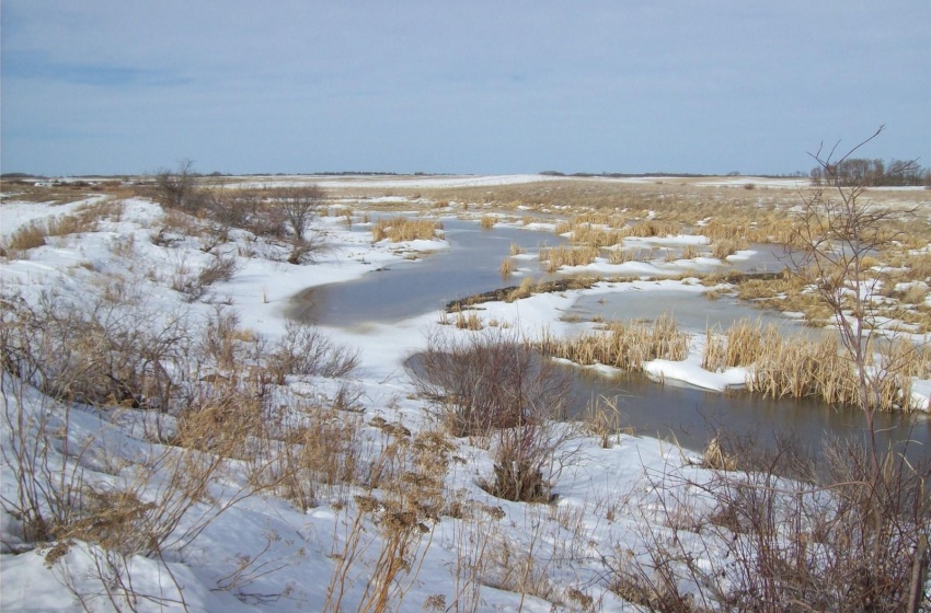 Rural Address, Emerald Rm No. 277, Saskatchewan S0A 4R0, ,Farm,For Sale,R.M. of Emerald/Hay/Pasture/Rec. 155.28 Acres,Rural Address,SK964954