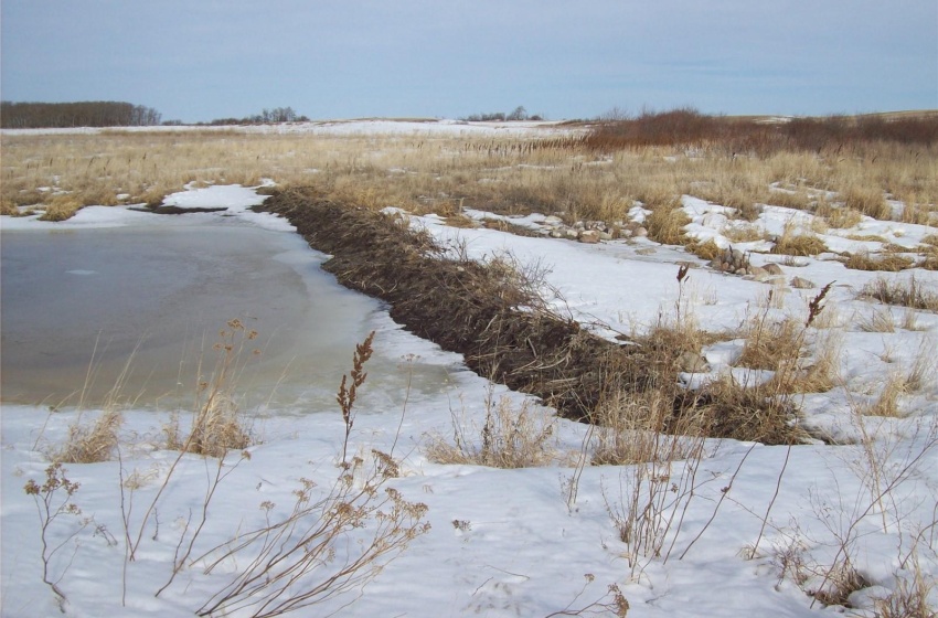 Rural Address, Emerald Rm No. 277, Saskatchewan S0A 4R0, ,Farm,For Sale,R.M. of Emerald/Hay/Pasture/Rec. 155.28 Acres,Rural Address,SK964954