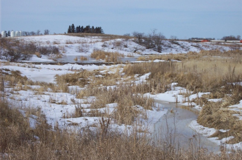 Rural Address, Emerald Rm No. 277, Saskatchewan S0A 4R0, ,Farm,For Sale,R.M. of Emerald/Hay/Pasture/Rec. 155.28 Acres,Rural Address,SK964954