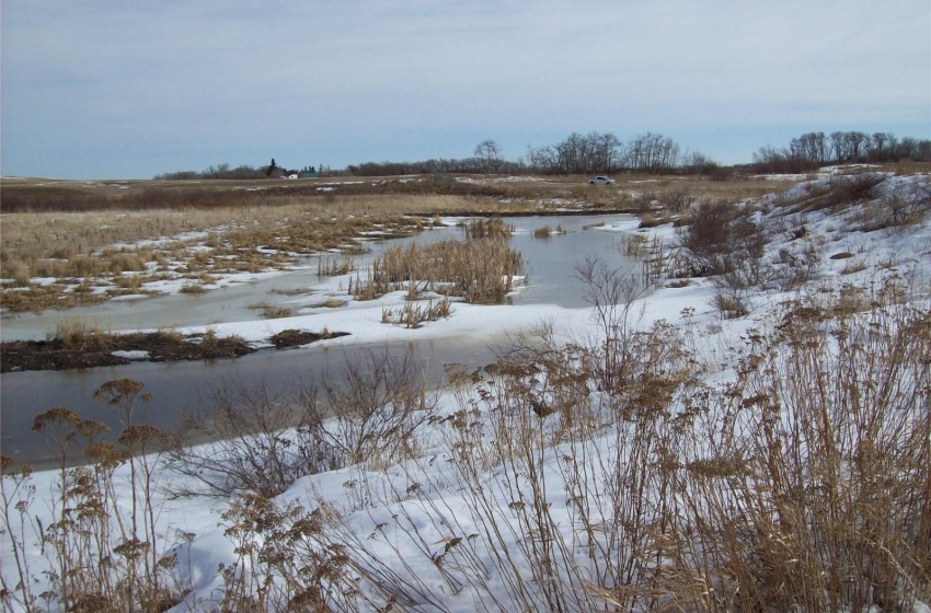 Rural Address, Emerald Rm No. 277, Saskatchewan S0A 4R0, ,Farm,For Sale,R.M. of Emerald/Hay/Pasture/Rec. 155.28 Acres,Rural Address,SK964954