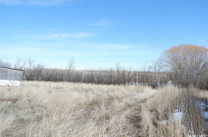 View of local wilderness