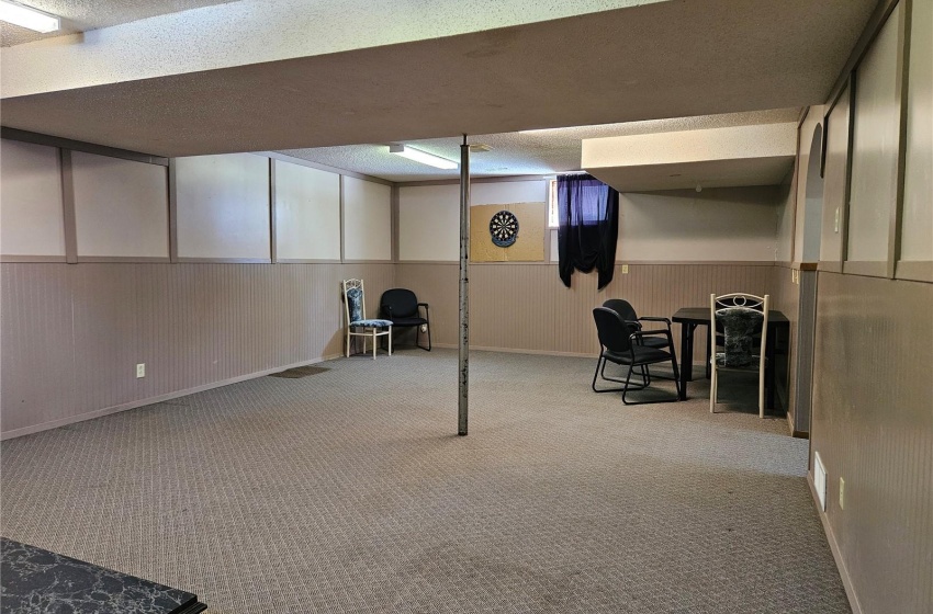 Rec room in Basement