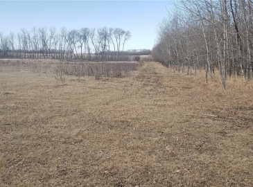 Rural Address, Duck Lake Rm No. 463, Saskatchewan S0K 1J0, ,Farm,For Sale,Bar P-6 quarter,Rural Address,SK965075