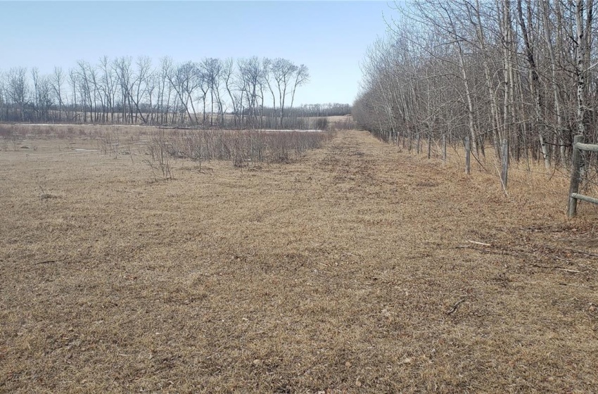 View of yard with a rural view