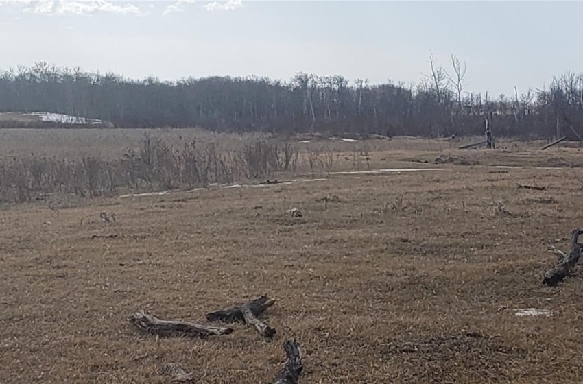 View of yard featuring a rural view