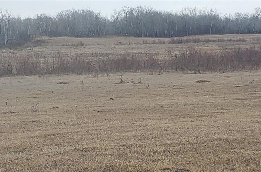 View of mother earth's splendor featuring a rural view