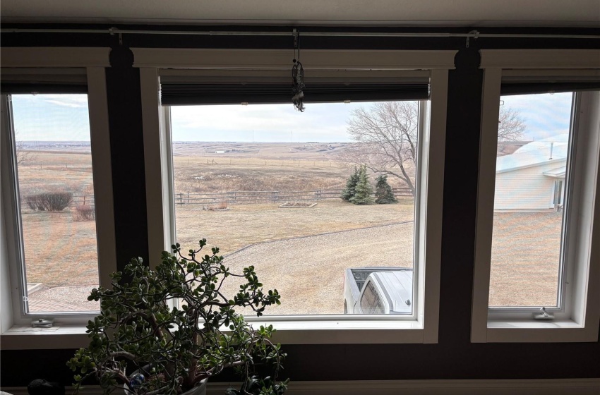 Here's more of the million dollar view from the sunroom