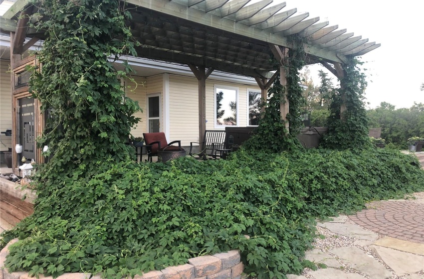 Hops that cover the pergola posts and go up on the top of the pergola