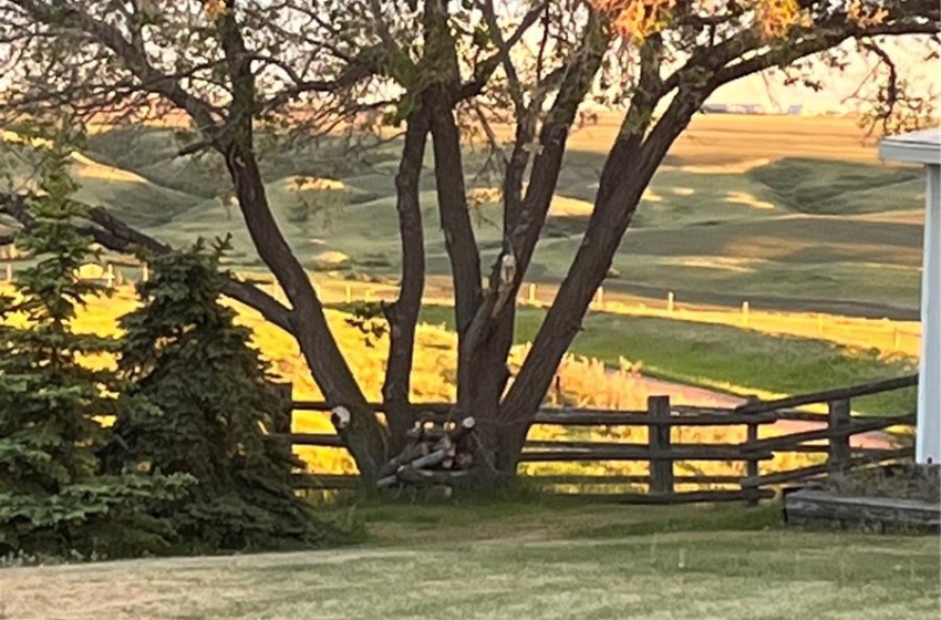 View of lawn rail fence and trees looking southwest from the patio