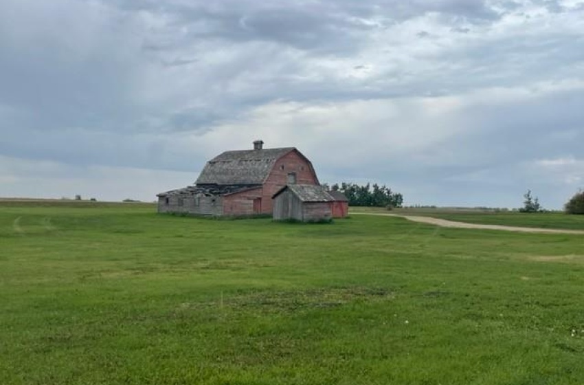 View of yard featuring an outdoor structure